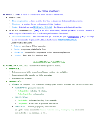 tema-2-fisioo.pdf