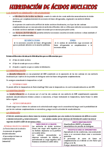 BIOLOGIA-2-EV.pdf
