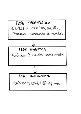 fase-analitica.jpg