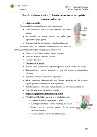 T7.PI. Anatomía del periné.pdf