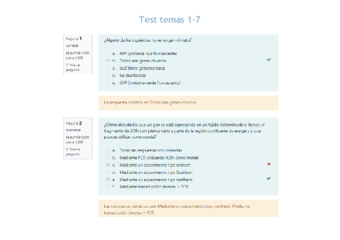 Test-Temas-1-7.pdf