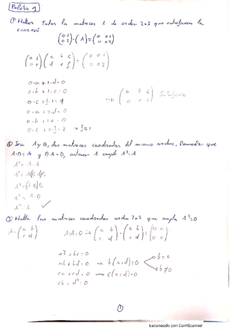 Tema-1-Matrices.pdf