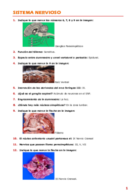 Anatomía 2- Preguntas.pdf