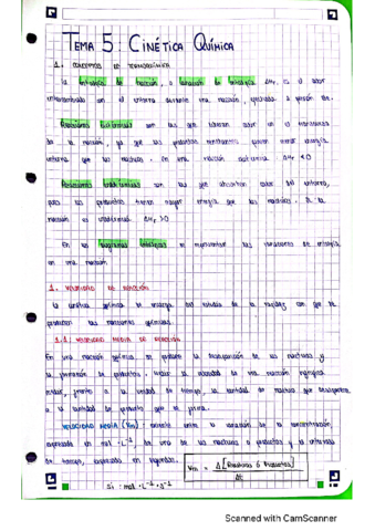 Quimica-extendido.pdf