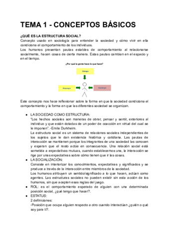 ESTRUCTURA-SOCIAL.pdf