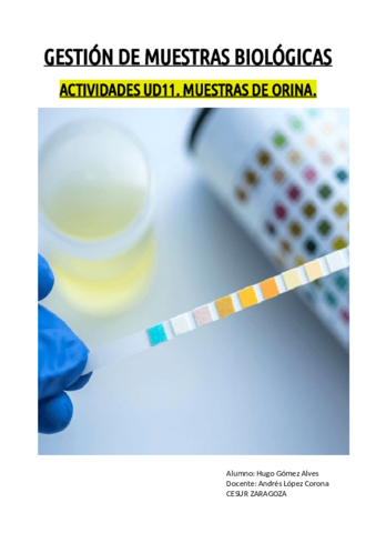 ACTIVIDADES-UD11.pdf