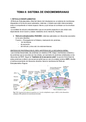 TEMA-9-sistema-endomembranas.pdf