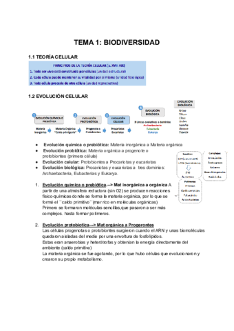 BIODIVERSIDAD.pdf