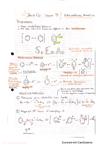 QO-Tema-9-Compuestos-Aromaticos.pdf