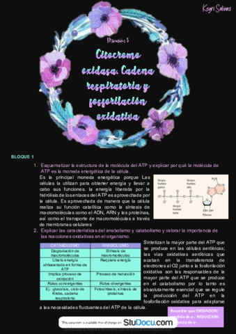 Cadena-transportadora-de-electrones-y-fosforilacion-oxidativa.pdf