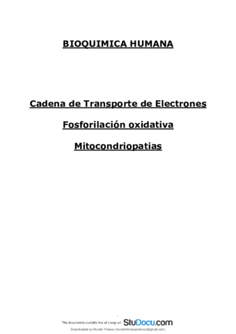 Cadena-DE-Transporte-ElectrOnico.pdf