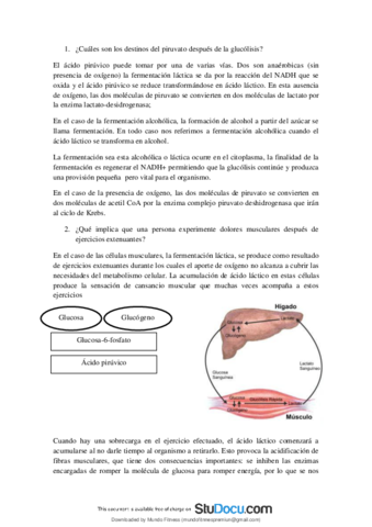 Cuales-son-los-destinos-del-piruvato-despues-de-la-glucolisis.pdf