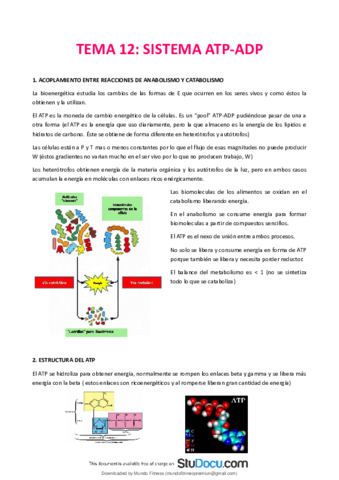 Tema-12-Sistema-ATPADP.pdf