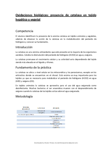 Practica-14-Oxidaciones-Biologicas-primer-semestre.pdf
