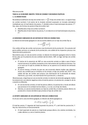 Tema-8-.pdf