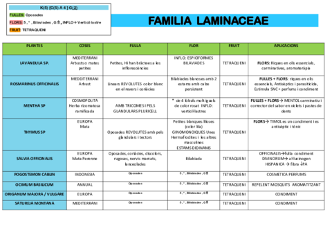 TAULES-FAMILIES.pdf