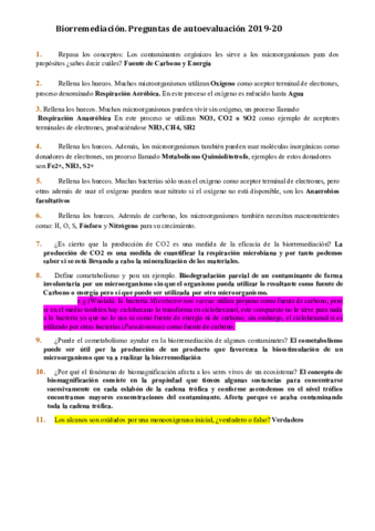 Preguntas-de-Biorremediacion.pdf