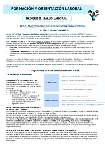 FOL-T5-Planificacion-de-prevencion-en-la-empresa.pdf