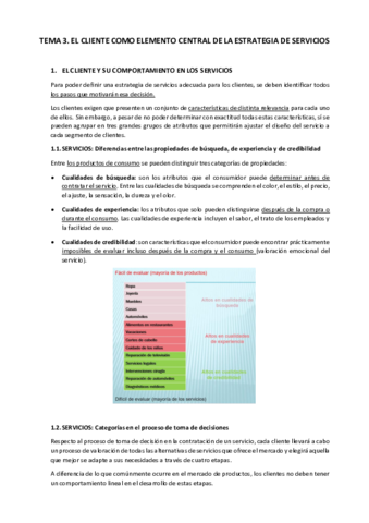 T3-MIS.pdf