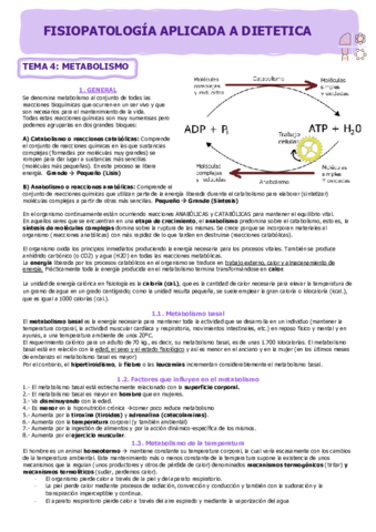 FISIO-T4-El-metabolismo.pdf