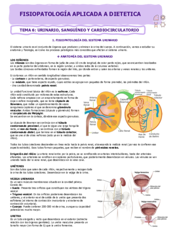 Fisio-T6-URINARIO-SANGRE-Y-CARDIACO.pdf