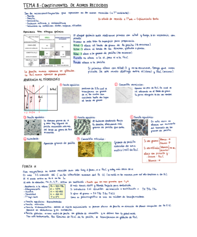 TEMA-8-Constituyentes-de-aceros-recocidos.pdf