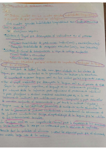 Examen-DLOE-I-resumen-preg.pdf