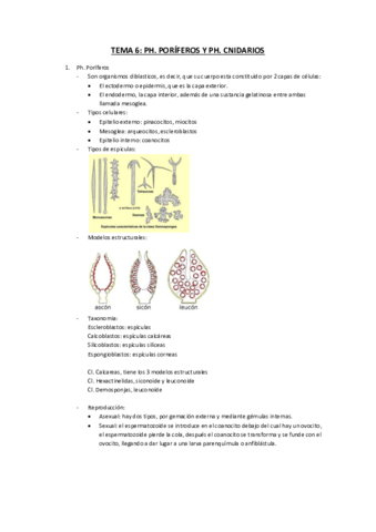 Tema-6.pdf