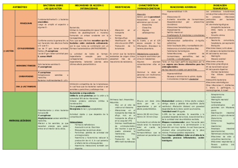 AntibioticosParcial-I.pdf