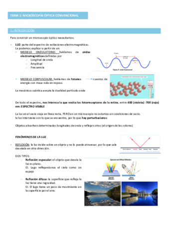 TECNO-DEL-1-AL-5.pdf