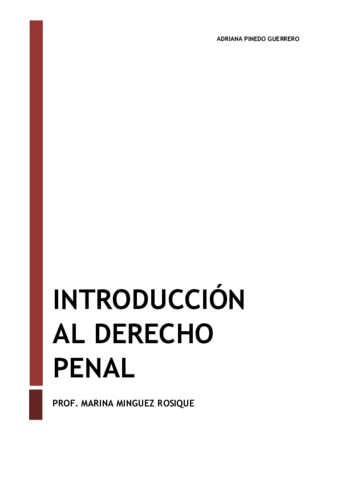 APUNTES-COMPLETOS-INTRO-PENAL.pdf