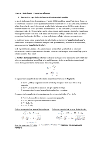 Tema-1-resumen-de-teoria.pdf