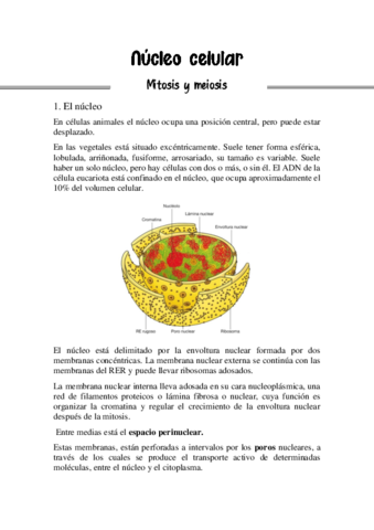 mitosis-y-meiosis.pdf