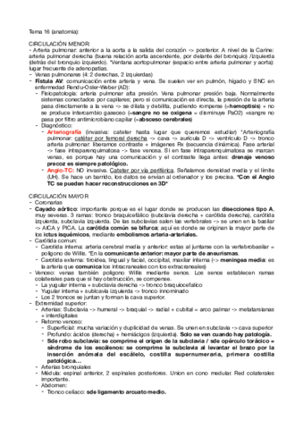 Intervencionista-16-pa7-pcl5.pdf