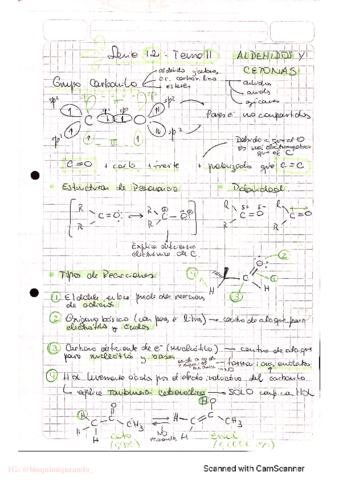 QO-Tema-11-Aldehidos-y-Cetonas.pdf