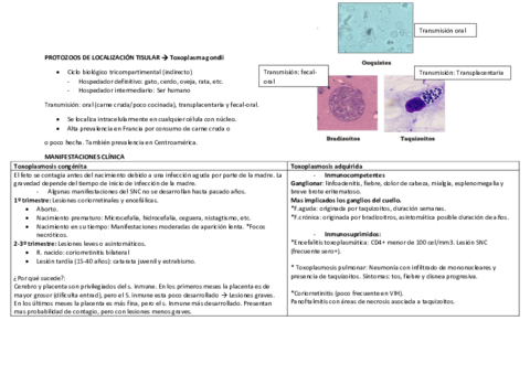Tema-3-Toxoplasma-gondii.pdf