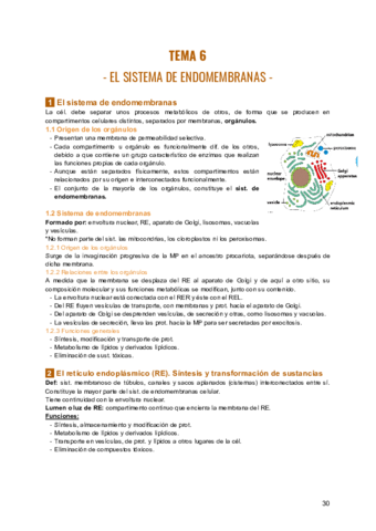 TEMA-6-BIOLOGIA.pdf