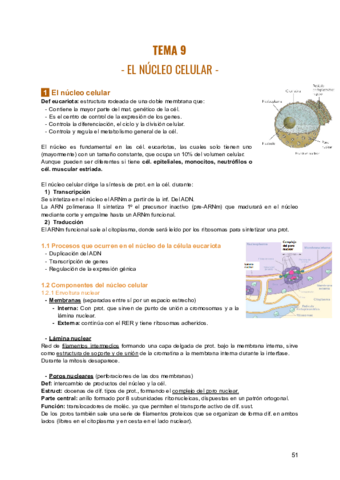 TEMA-9-BIOLOGIA.pdf