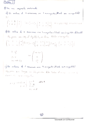 Tema-2-Sistema-de-Ecuaciones-lineales.pdf