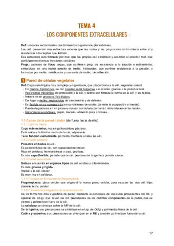 TEMA-4-BIOLOGIA.pdf