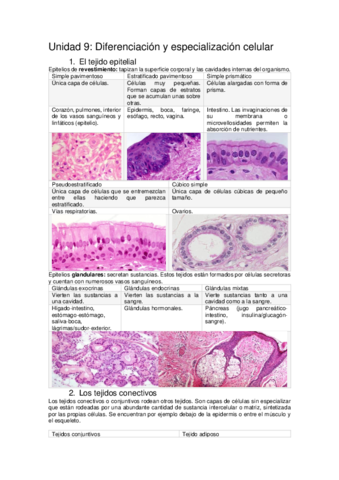 unidad-9.pdf
