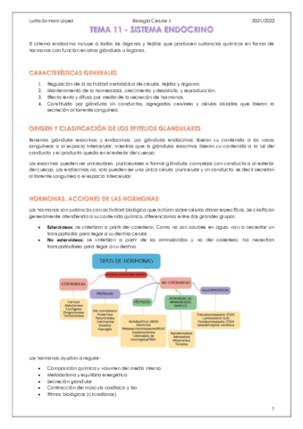 Tema-11-Sistema-endocrino.pdf