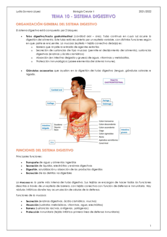 Tema-10-Sistema-digestivo.pdf