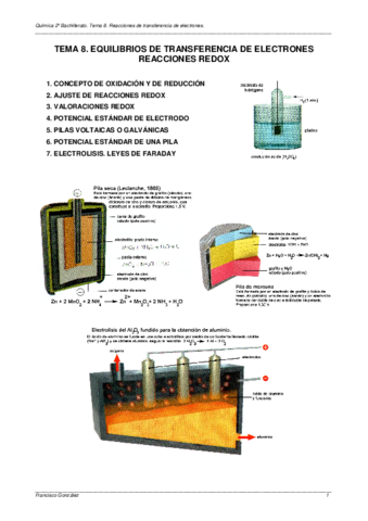 TEMA-8.pdf