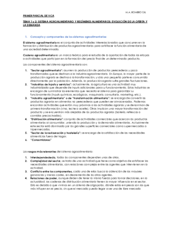 VCA COMPLETO MANUEL DAVID.pdf