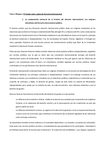 Apuntes Derecho Internacional Público.pdf