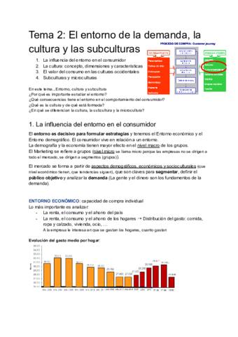 Resumen-TEMA-2-Comportamiento-del-Consumidor.pdf