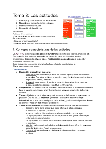 Resumen-TEMA-8-Comportameinto-del-Consumidor.pdf