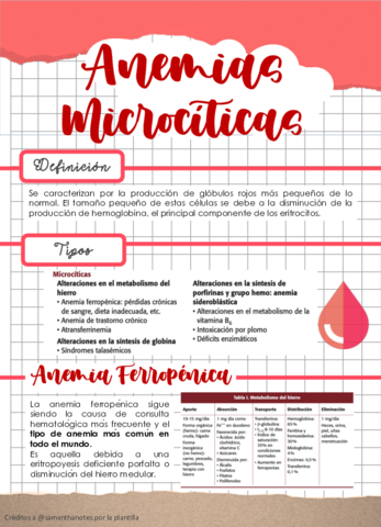 ANEMIAS-MICROCITICAS-APUNTEe.pdf