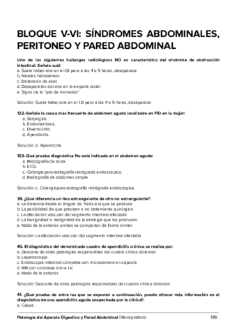 Preguntas-Bloque-V-y-VI.pdf